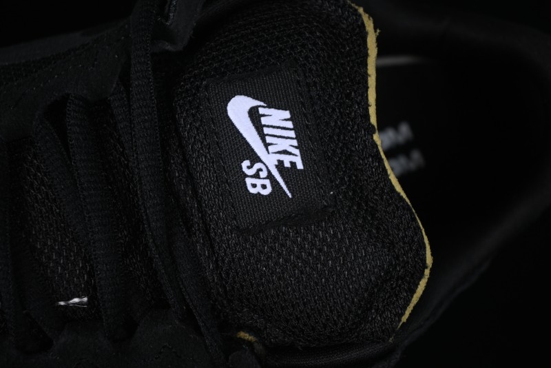 Nike SB Day One Low Top Casual Skate Shoes with Air Zoom Cushion - FN4210-001