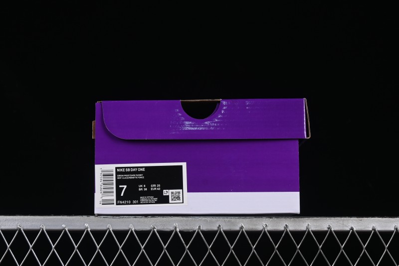 Nike SB Day One Low Top Casual Skate Shoes with Air Zoom Cushion - FN4210-301