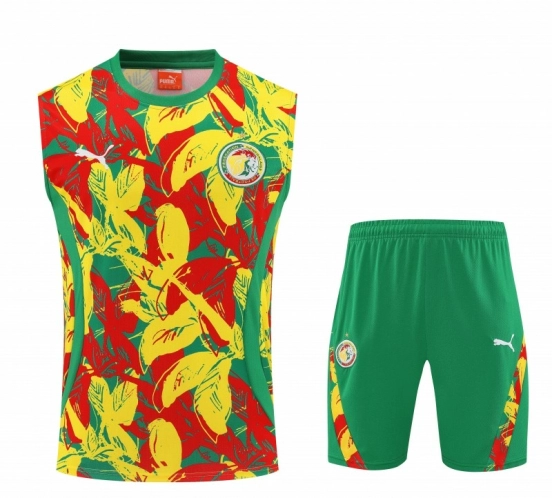 25/26 Senegal Green Tropical Floral Print Sleeveless Training Vest +Shorts Set